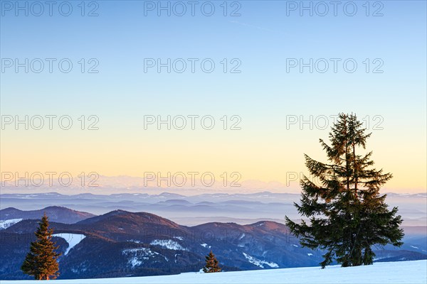 Evening atmosphere at the wintery summit of the Belchen at sunset