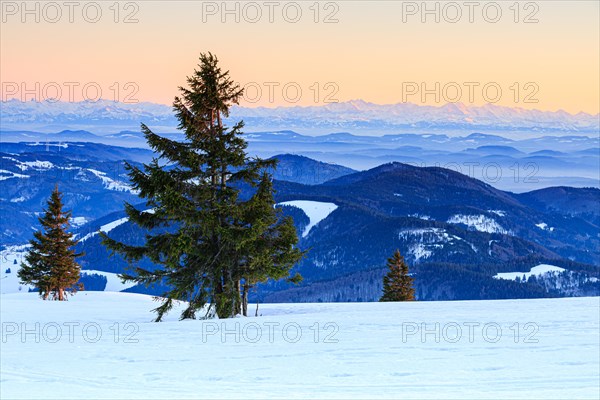 Evening atmosphere at the wintery summit of the Belchen at sunset