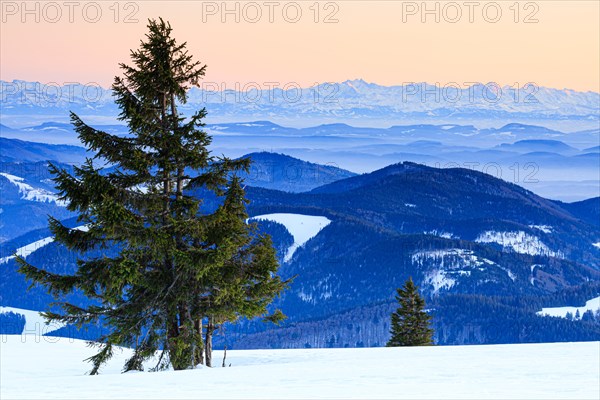 Evening atmosphere at the wintery summit of the Belchen at sunset