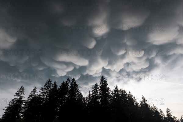 Mammoth clouds