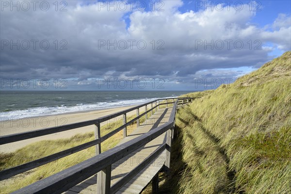 Boardwalk in the dunes