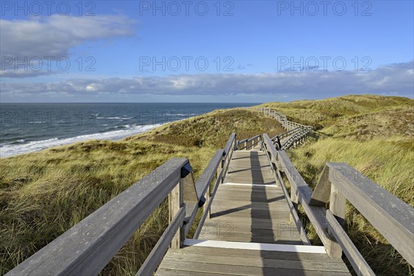 Boardwalk in the dunes