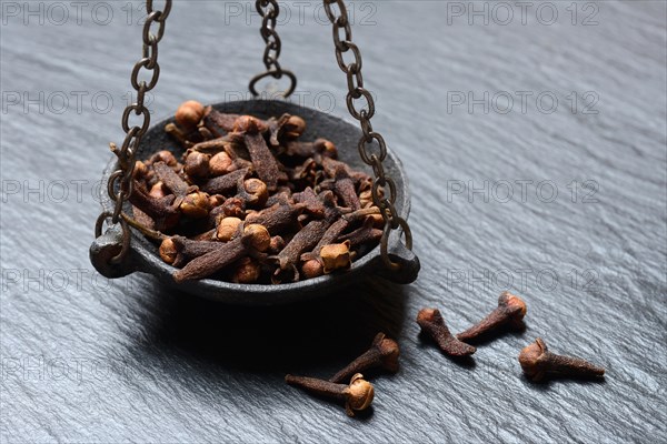 Cloves in a weighing pan