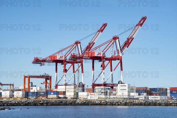 Two container gantry cranes in the cargo port