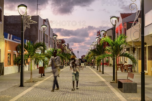 Pedestrian zone with poinsettia in the evening