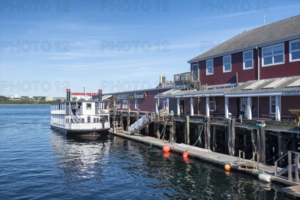 Excursion steamer in the harbour area