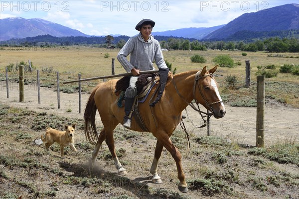 Young Gaucho rides a horse