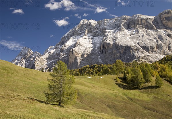 View of the Heiligkreuzkofel from the meadows of the Armentara