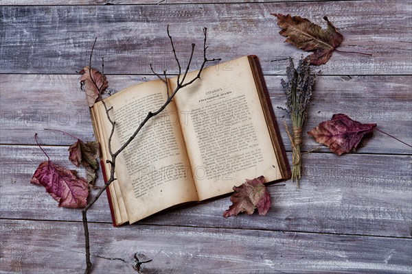 Old book and branch on an old wooden desk