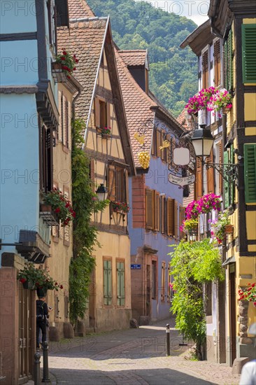 Alley with historic houses