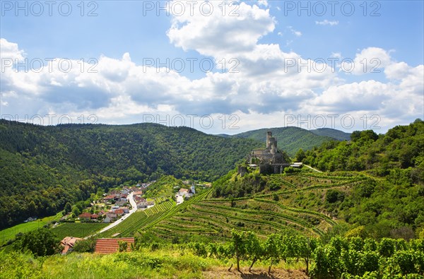 Castle ruin Senftenberg