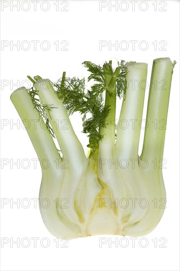 Halved Florence fennel