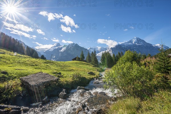 Mountain stream in bright sunshine