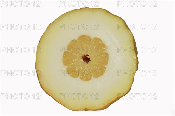 Halved citron