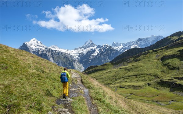 Hiker