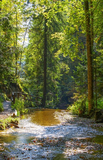 Mill hiking trail near Ebenau