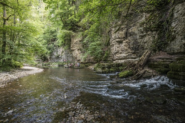 Wutach Gorge