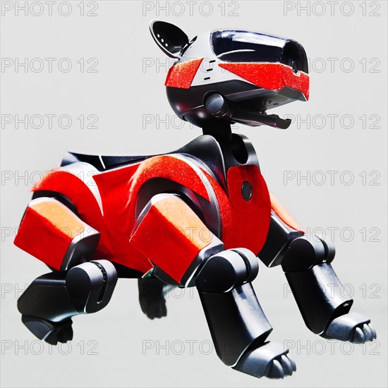 Aibo