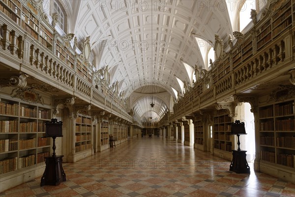 Library with historical books