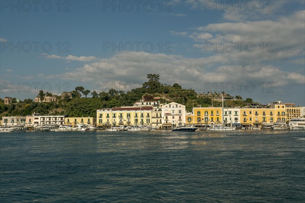 Harbour of Ischia Porto