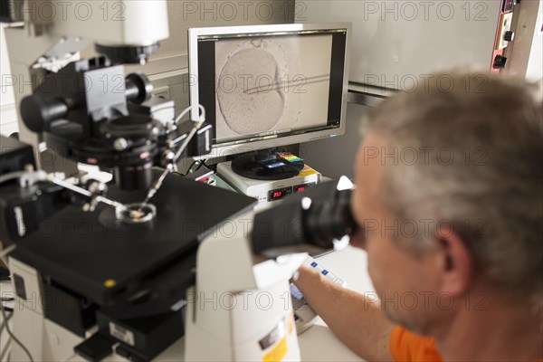 Artificial insemination of a human ovum