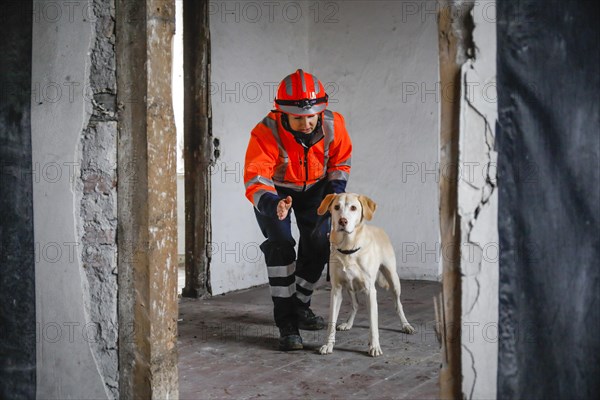 Rescue dog training