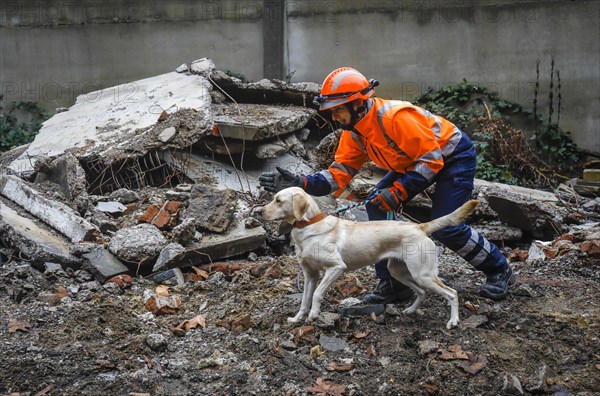 Rescue dog training