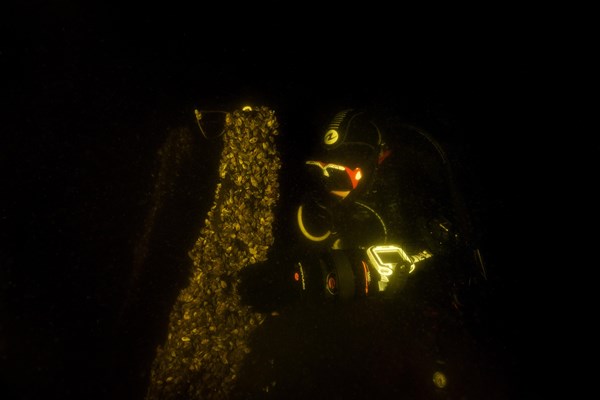 Diver cleans historical shipwreck Chaika of clams