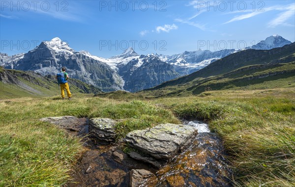 Hiker at a stream