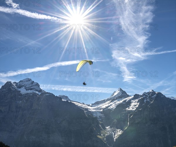 Paraglider flies in the sky