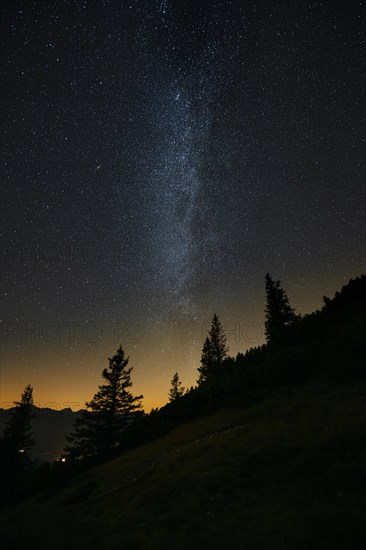 Milky Way in front of a group of trees in a mountain landscape