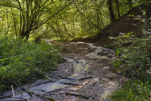 Brook in the nature reserve Innleite