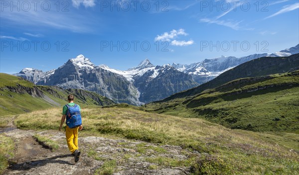 Hiker