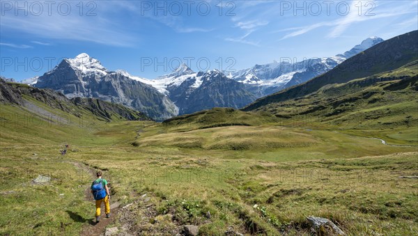 Hiker