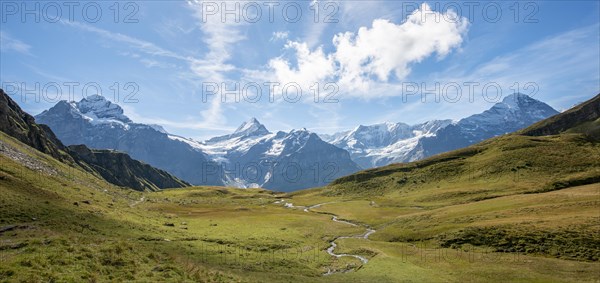 River meanders