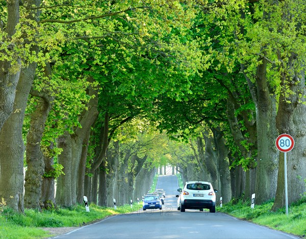 Cars on country road