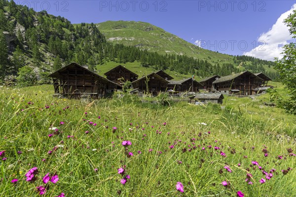 Typical Walser farmhouses in the village of Otro