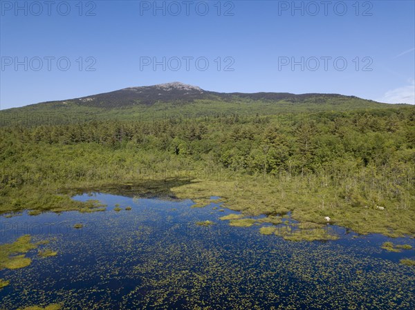 Mount Monadnock and Perkins Pond
