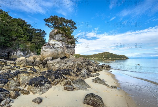 Overgrown rock on the beach of Stillwell Bay