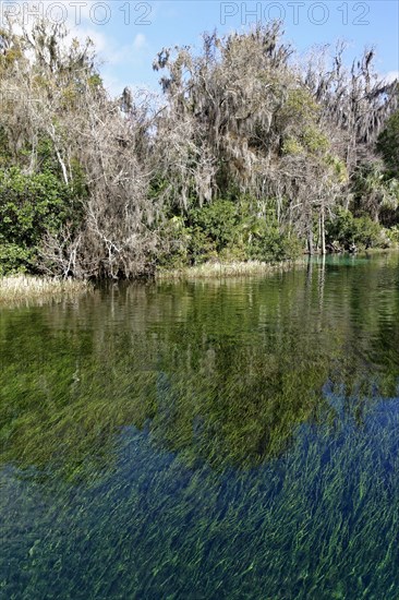 River landscape