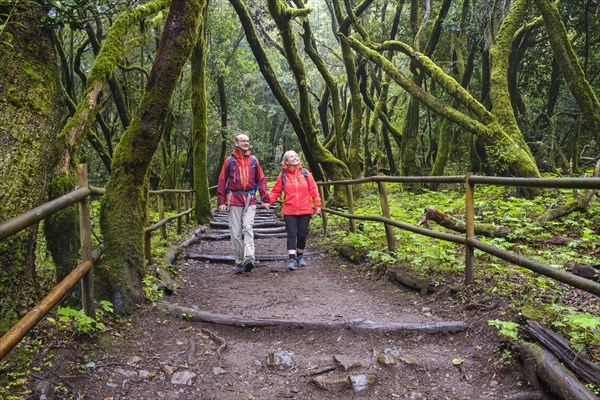 Couple hiking on forest trail in the laurel forest