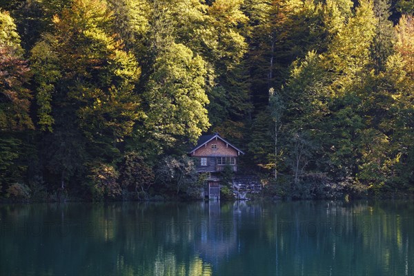 Wooden hut at the Freibergsee