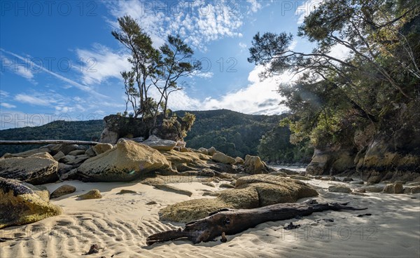 Overgrown rock on the beach of Stillwell Bay