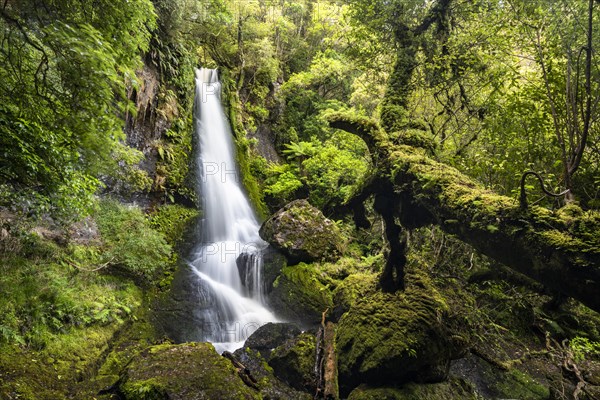 Upper Waipohatu Waterfall