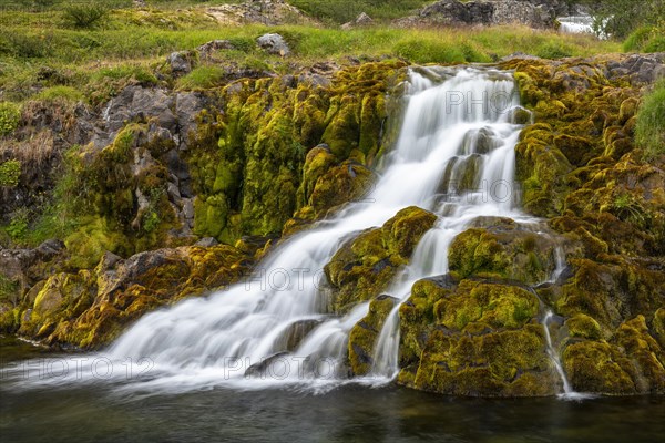 Waterfall overgrown with moss near Dynjandi