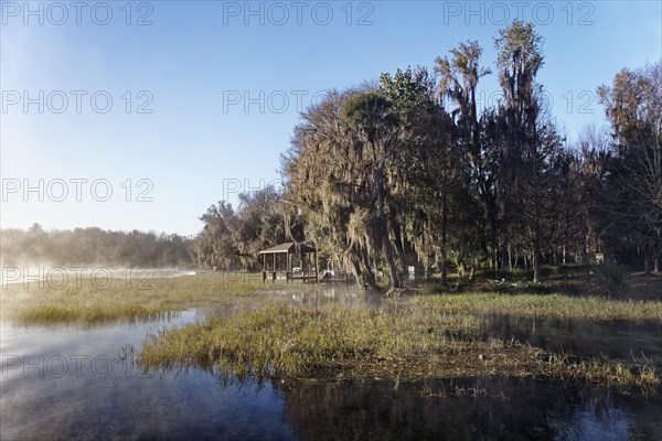 River landscape with reeds