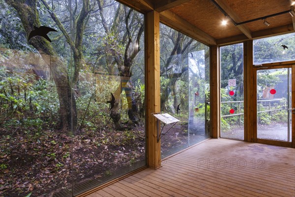 Laguna Grande visitor centre in the laurel forest