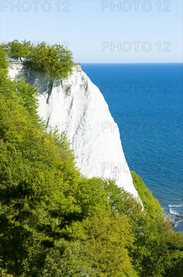 Koenigsstuhl and Baltic Sea