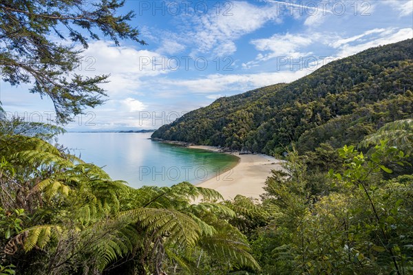 View of Stillwell Bay beach from Abel Tasman Coastal Track