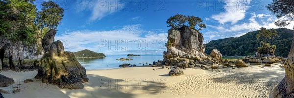 Overgrown rock on the beach of Stillwell Bay